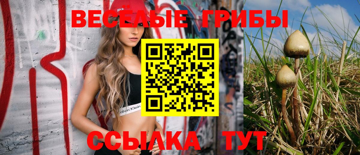 Псилоцибиновые грибы прущие грибы Таганрог